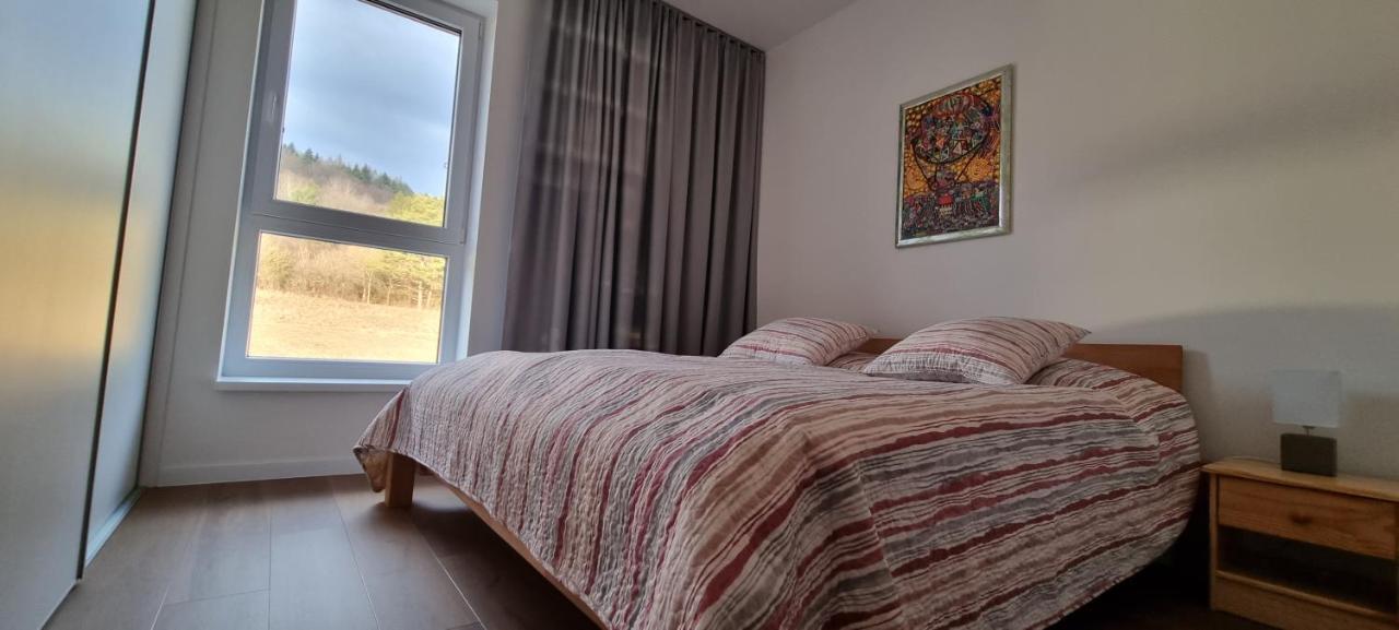 Penthouse Apartman Mineral B-4 Bardejovské Kúpele 외부 사진